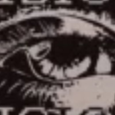 trenchwarriorX's profile picture. Once a warrior, now a billionaire.
Still a warrior.

~ $PNUT