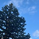 Bartek Tomaszewski - @BartekToma4885 - Twitter