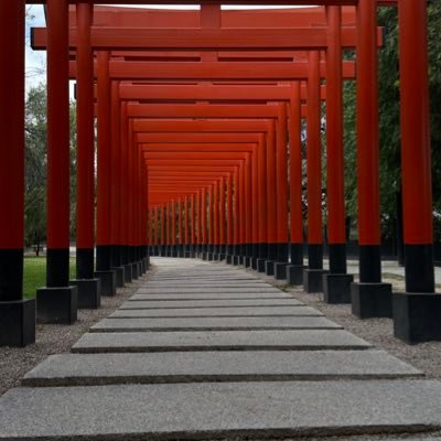 ds0taa's profile picture. investor.