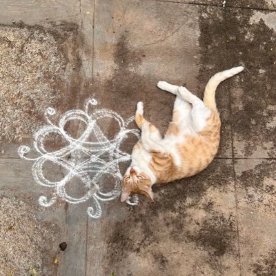 swathtweets's profile picture. she/her • eng/த