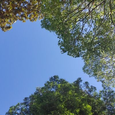 Flysmile's profile picture. 