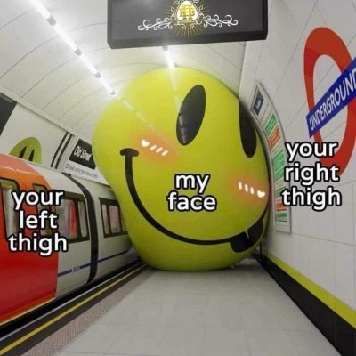 bobtnight's profile picture. 