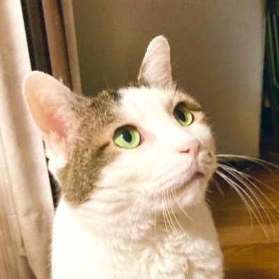 紋次郎さんのプロフィール画像