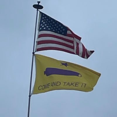 LSUTM2's profile picture. American 🇺🇸 Catholic ✝️ #Texan #LSU #TexasTigers 🐅 back on Twitter after 1.9.21  previously LSUCM91