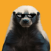 MMA Badger (@badgerbetsmma) Twitter profile photo MMA Badger (@badgerbetsmma) Twitter profile photo