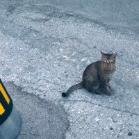 iPhone Cinema Japan Okinawa 糸満😎iPhone 電影日本沖繩　絲滿 (@pt100100100100) Twitter profile photo