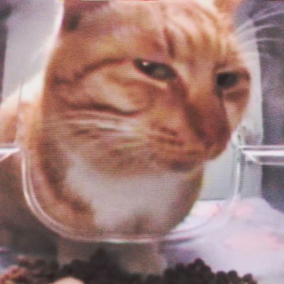 mervさんのプロフィール画像