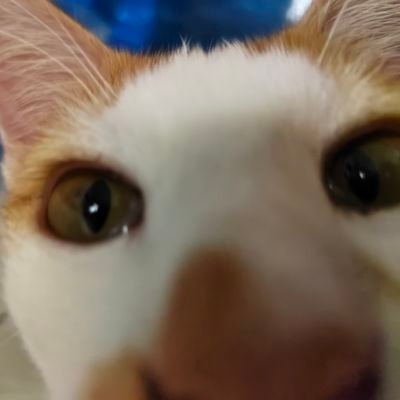 Hiraluvgyeom's profile picture. 