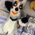 Impulse (@impulsivedog) Twitter profile photo Impulse (@impulsivedog) Twitter profile photo