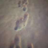 のーあら (@aitaidesu040622) Twitter profile photo