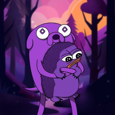 KYY Profile
