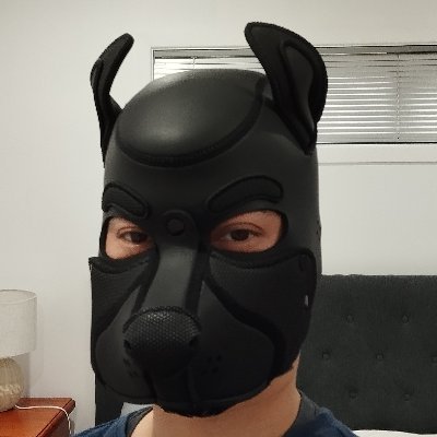 Xylonnz's profile picture. Bondage, Dom/Sub, Pup, Mummification, #18+ 👣🧦👟🥾⛓️🐶🦴