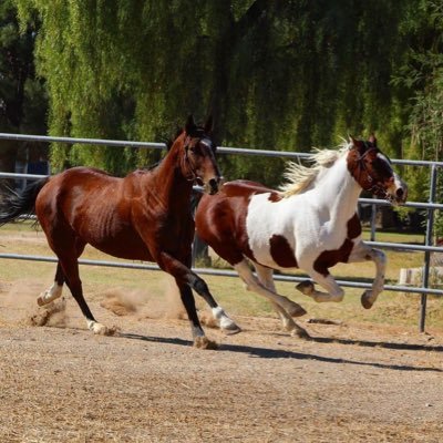 *competitive cheerleading**tumbling** Gymnastics, Quads, Bikes, Horses, camping, 4x4 adrenaline junkie