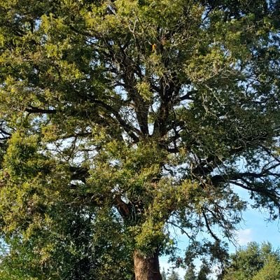 Nobru64100's profile picture. l'esprit n'est pas libre tant qu'il n'a pas lâché prise