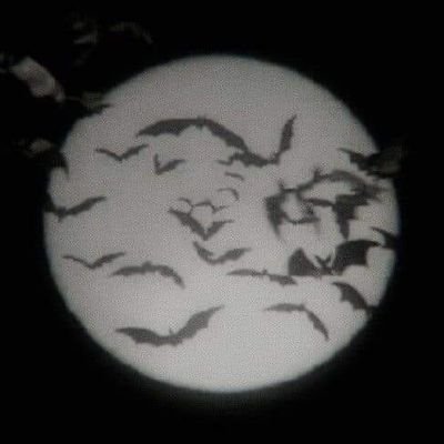 RachelBenner9's profile picture. @pizzahut 2.8.2024
GINO SAVARESE 12.19.2020