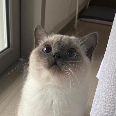 aarialily's profile picture. Hmm