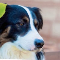 バトン (@ta7og6cmb477404) 's Twitter Profile