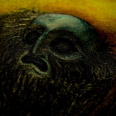 Hypopokratenusa's profile picture. 