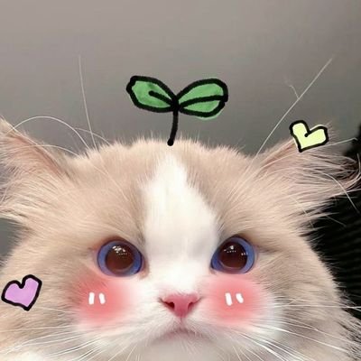 firstkhao🧡🐈⬛🐈My Happiness
lee know is cute...Hyungah I love You 🐰🐿️