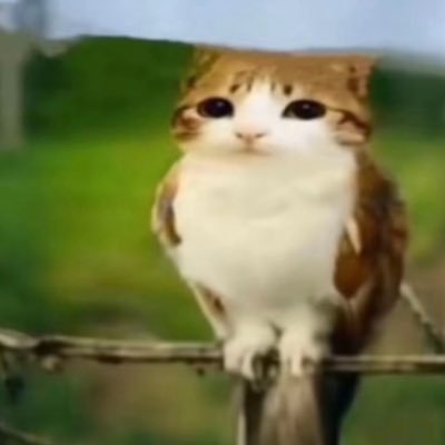 chaishaichai's profile picture. 18