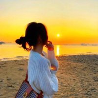 Sophia (@axfmn11477237) 's Twitter Profile