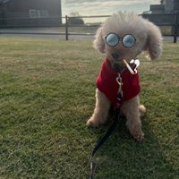 Cauxsquet🧠 (@gooskying) 's Twitter Profile