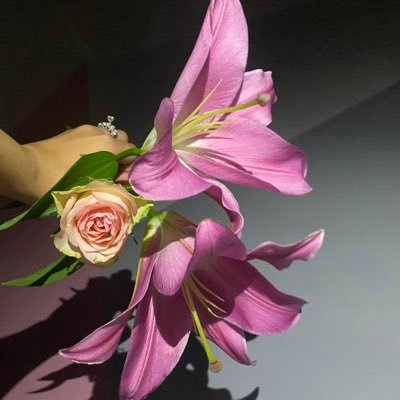 Tasneem15678's profile picture. Peace & Freedom 🕊️🌼♥️✨