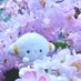 ほのか (@honoka1405) Twitter profile photo ほのか (@honoka1405) Twitter profile photo