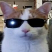 james (@miaujames) 's Twitter Profile Photo