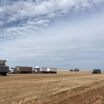Grain and livestock Farmer at Pridham AG. located Paskeville, SA.