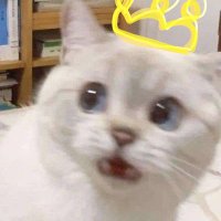 べど (@bedo_moi) 's Twitter Profile