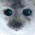 hans (@hanstjendrawas1) Twitter profile photo hans (@hanstjendrawas1) Twitter profile photo