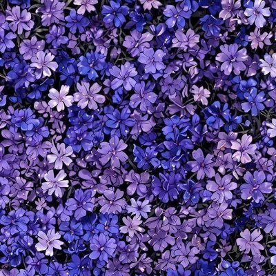ZatyZuhairi's profile picture. 𝙇’𝘼𝙢𝙤𝙪𝙧 𝙙𝙚 𝙢𝙖 𝙫𝙞𝙚, 🌹 𝒴𝒶 𝒜𝓁𝓁𝒶𝒽 𝒴𝒶 𝒯𝓊𝒽𝒶𝓃𝓀𝓊 𝓀𝒶𝓊 𝓅𝑒𝓇𝓂𝓊𝓇𝒶𝒽𝓀𝒶𝓃𝓁𝒶𝒽 𝓇𝑒𝓏𝑒𝓀𝒾 𝒾𝓏𝓏𝒶𝓉𝒾 🌻