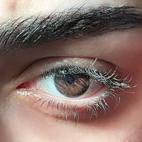 مَ مُ مِ (@meemfr7) 's Twitter Profile Photo