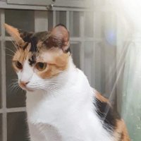 Jeeeeet (@jeeeeet13) 's Twitter Profile
