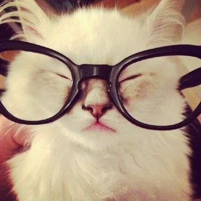 bonsburgir's profile picture. 