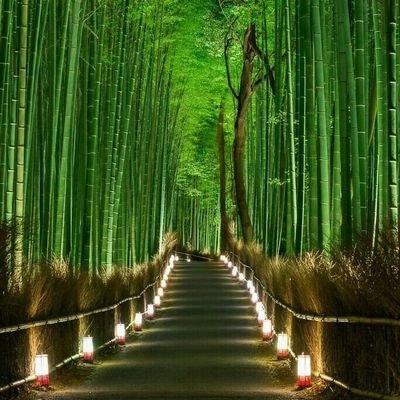 esperan33870496's profile picture. 