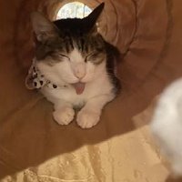 res (@rescobaworks) 's Twitter Profile
