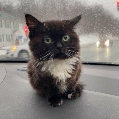 Tapokkk217277's profile picture. 