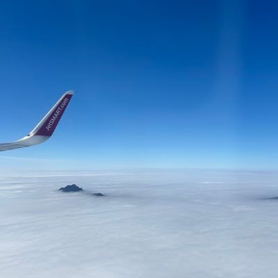 DrArtico's profile picture. 