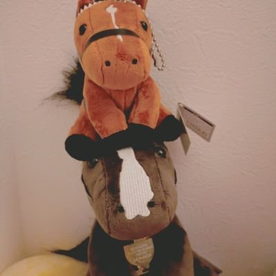 狼姫🐾ディズニー行きたいさんのプロフィール画像