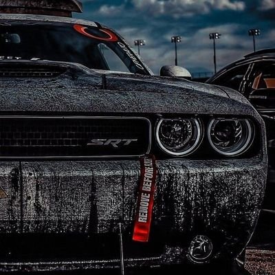 amir8406's profile picture. 