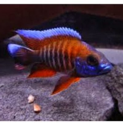 DarrenLemm72410's profile picture. 