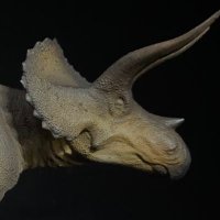 ヤナギ ノボル / Noboru Yanagi (@un_xnd) 's Twitter Profile Photo ヤナギ ノボル / Noboru Yanagi (@un_xnd) 's Twitter Profile Photo