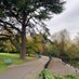 ewellgreenbelt (@ewellgreenbelt) Twitter profile photo ewellgreenbelt (@ewellgreenbelt) Twitter profile photo