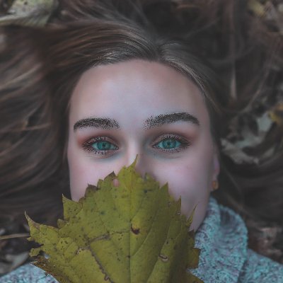 ShashwatKumarA2's profile picture. 