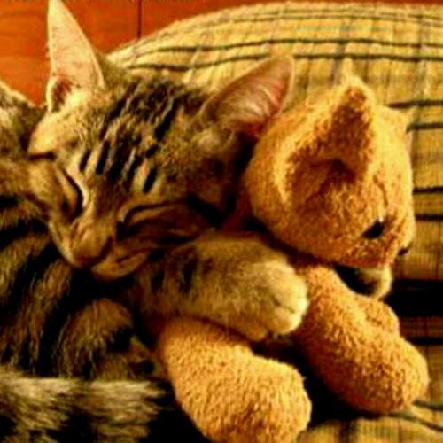 CountryPearl22's profile picture. 