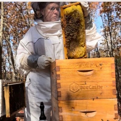Apiary in the Northeast United States. Not interested in DMs, unlikely to respond. gibbonsapiaryllc@protonmail.com