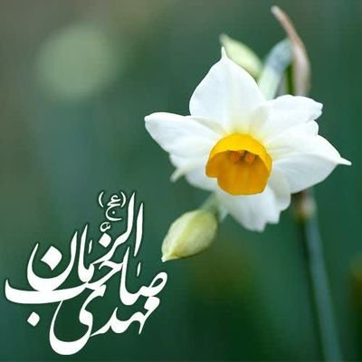 توئیبهانهآنابرهاکهمیگریند🌧
بیاکهصاف شودآنهوایبارانی☀️