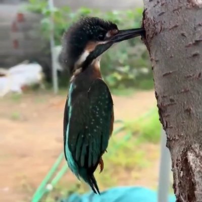 MarnerDempsey's profile picture. 玩铭文赚200w